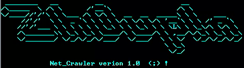 NetC 1.0 ASCII Art "Zh0up!n"