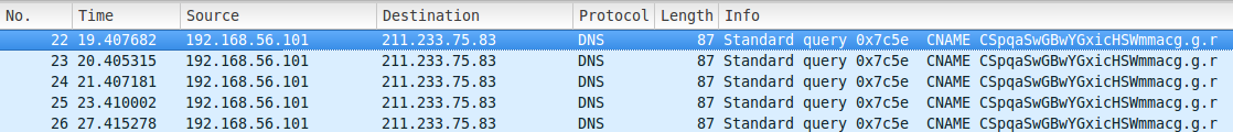 PCAP of DNS queries as Command and Control