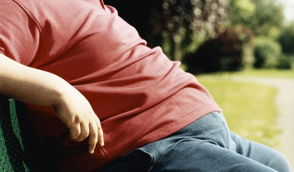 Mid-Section of an Overweight Man Sitting on a Park Bench With Take-Away Food