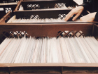 Cropped Image Of Woman Selecting File From Shelf In Office